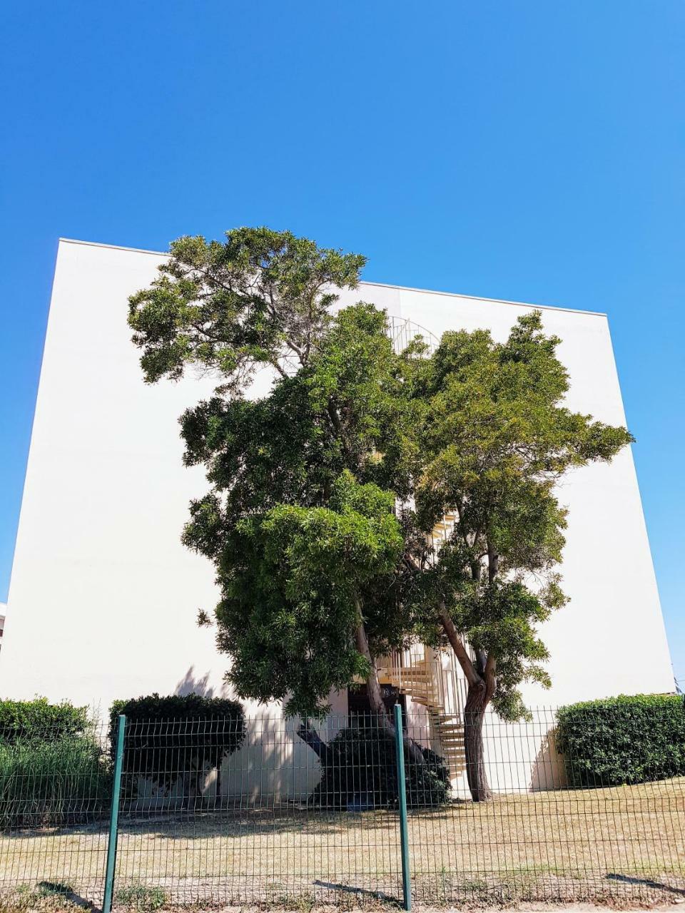 Studio Calme Avec Parking Et Ascenseur -304- Canet-en-Roussillon Zewnętrze zdjęcie