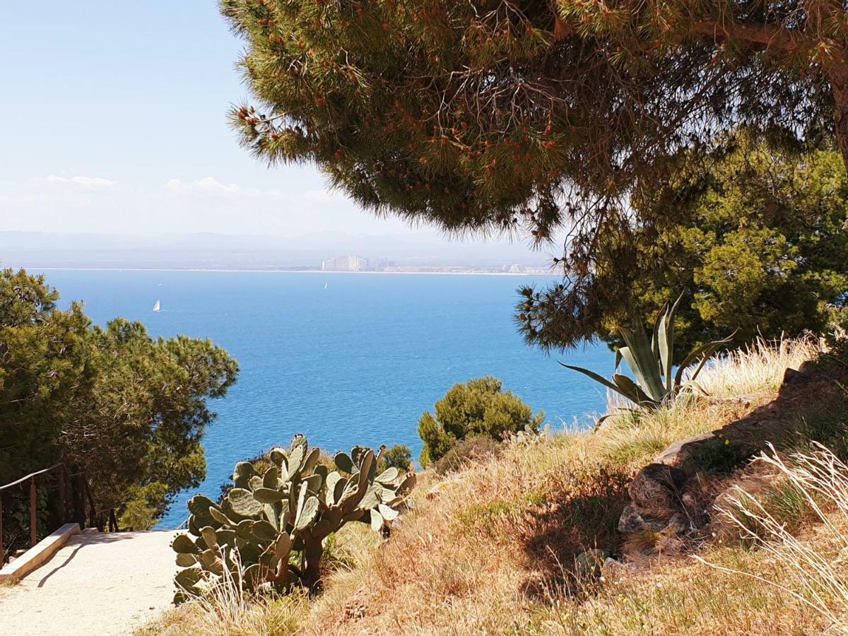 Studio Calme Avec Parking Et Ascenseur -304- Canet-en-Roussillon Zewnętrze zdjęcie